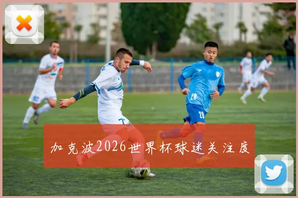 加克波2026世界杯球迷关注度